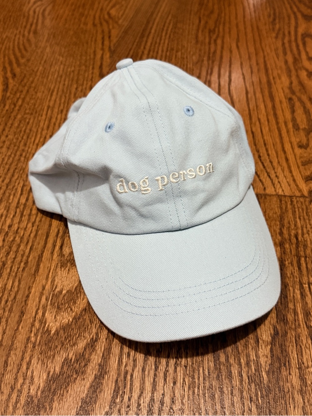 Dog Person Embroidered Baseball Cap - Light Blue